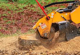 Best Lawn Pest Prevention  in Watchung, NJ